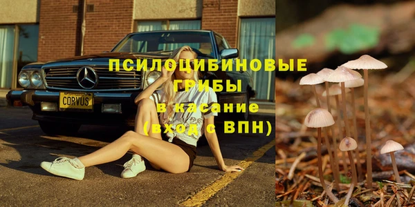 ешки Зерноград