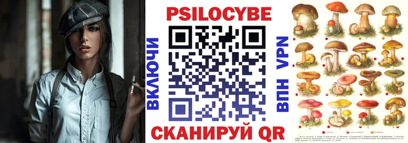 Псилоцибиновые грибы прущие грибы Лесной